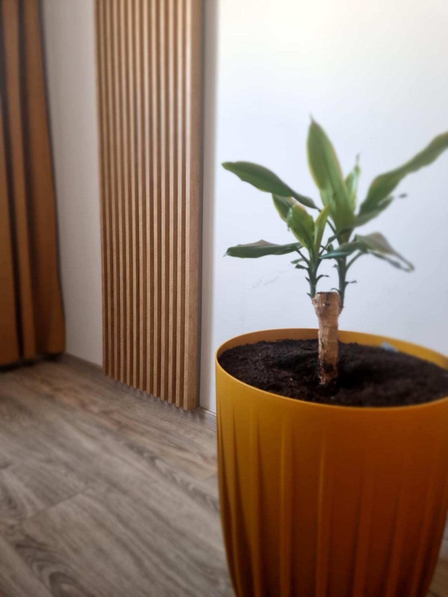 Apartament Lux Lemon يلينيا غورا المظهر الخارجي الصورة